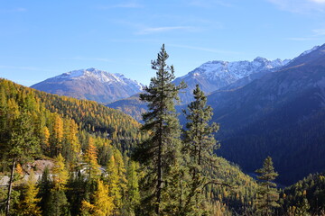 View on a mountain in the Swiss National Park is located in the Western Rhaetian Alps, in eastern Switzerland.