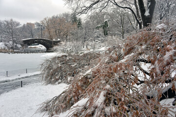 Gapstow Bridge in Central Park