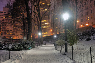 Central Park in winter  snow storm