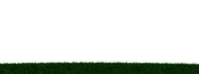 Grass transparent illustration background field in 3d