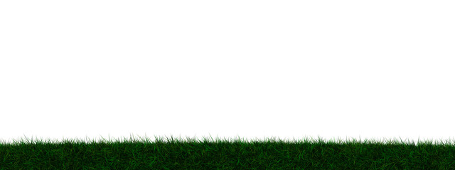 Grass transparent illustration background field in 3d