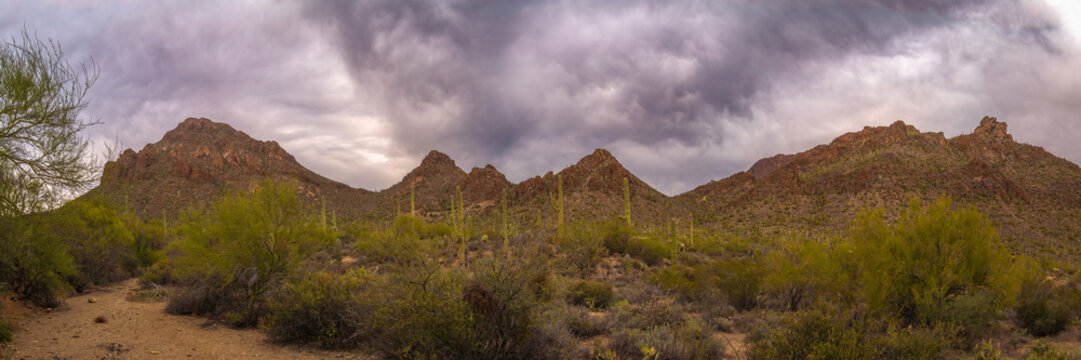 Saguaro National Park Hiking Trail Landscape Series, Tucson Mountain scenic arroyo and hills panorama with dramatic stormy clouds at sunset in Tucson, Arizona, USA