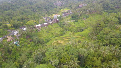 Obraz premium Aerial view of Tegalalang Green Terrace Field in Ubud, Bali