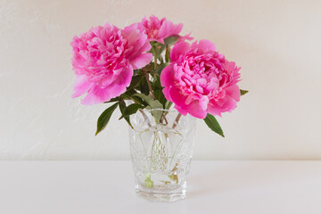 Pink blooming peonies in a crystal vase on a white surface.