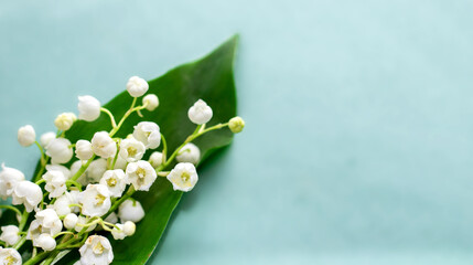 lily of the valley little white small spring flowers isolated on green leaf green background sun light in corner.easter holiday spring is coming template wide banner mockup free space for text copy 