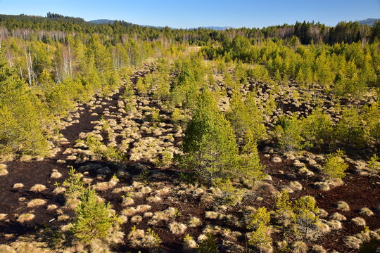 Soumarske Bog