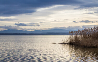 Lake landscape with cane in the front and mountains in the background with beautiful sky