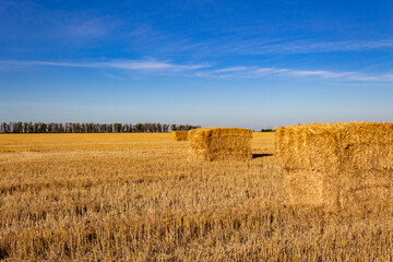 landscape of the argentinian countryside with bales of wheat