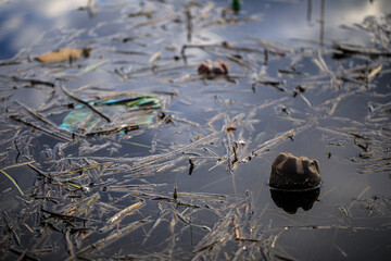 plastic bottle aluminum can and other non-degradable waste floating in the water