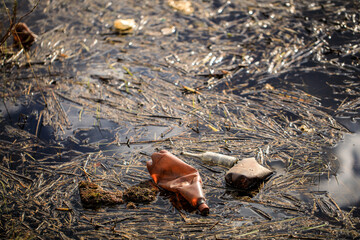 plastic bottles and other debris in the water