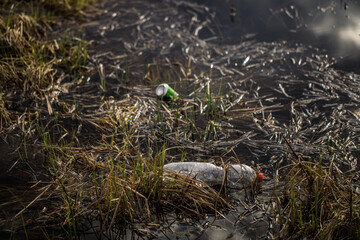 plastic and aluminum debris in a natural environment in a pond