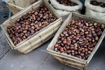closeup of chestnuts piles in outdoor