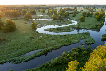 Forest in summer colors. Green deciduous trees and winding blue river in sunset. Soomaa wooded meadow, Estonia, Europe