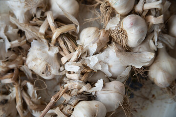 bunch of garlic