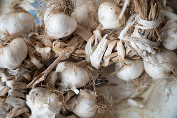 bunch of garlic