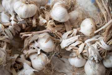 bunch of garlic