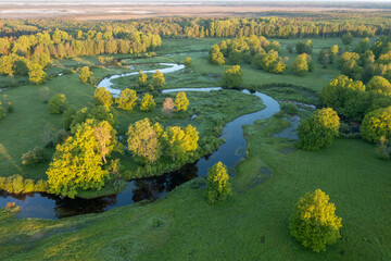 Forest in summer colors. Green deciduous trees and winding blue river in sunset. Soomaa wooded...