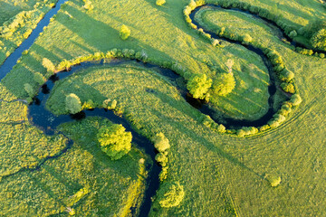 Forest in summer colors. Green deciduous trees and winding blue river in sunset. Soomaa wooded meadow, Estonia, Europe