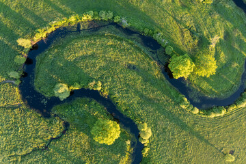 Forest in summer colors. Green deciduous trees and winding blue river in sunset. Soomaa wooded meadow, Estonia, Europe