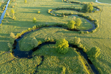 Forest in summer colors. Green deciduous trees and winding blue river in sunset. Soomaa wooded meadow, Estonia, Europe