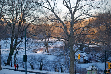 snow and ice covering the lake in central park in  winter light

