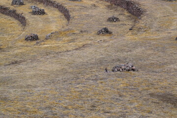 tarasy Morai, Peru