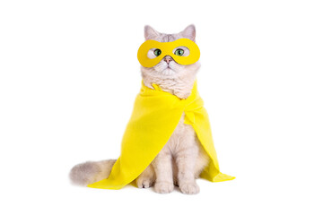 Beautiful white cat in a yellow mask and cape, sits on white background