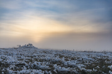 Winter field at sunset with icy grass, the sun behind low clouds, grass with snow and ice carpets the meadow