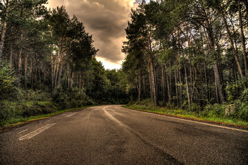 Obraz premium Curvy road at a cloudy day going through a forest