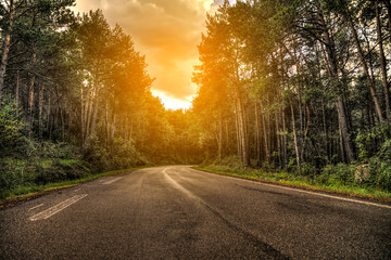 Fototapeta premium Curvy road at a cloudy day going through a forest