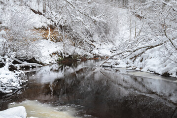 The river with fallen trees flows through a snowy winter forest