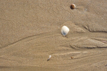 Background created from the sand on the beach.