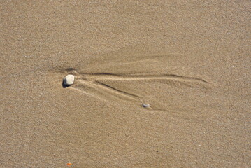 Background created from the sand on the beach.