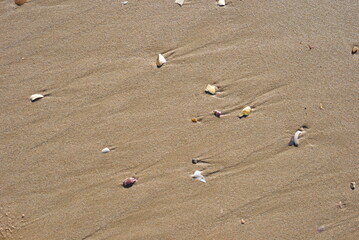 Background created from the sand on the beach.