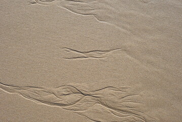 Background created from the sand on the beach.