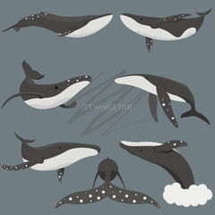 An vector set of illustrations of a whales in scandinavian colors. Underwater world, Marine life. Vector illustration of a whale. Save the ocean. World whale day