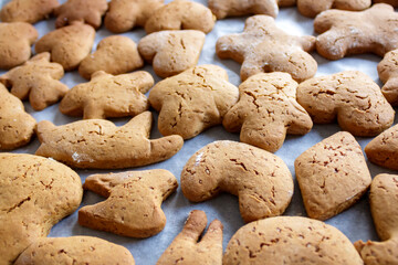 Close-up of freshly baked gingerbread  cookies on baking sheet 