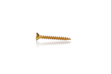 macro screw of golden color on a white background