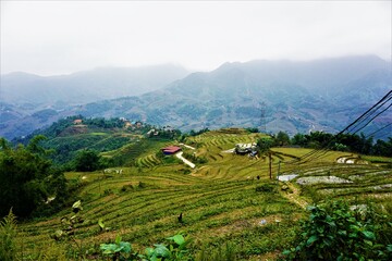 Tarasy ryżowe, Sa Pa, Wietnam © Agata