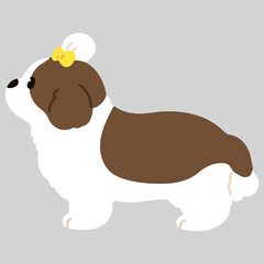 Simple and cute illustration of Shih Tzu in side view flat colored