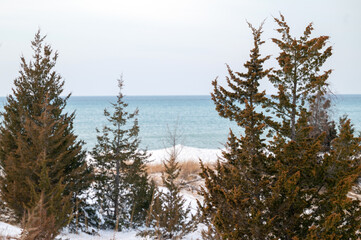 Trees and dunes on shore of Lake Huron in winter