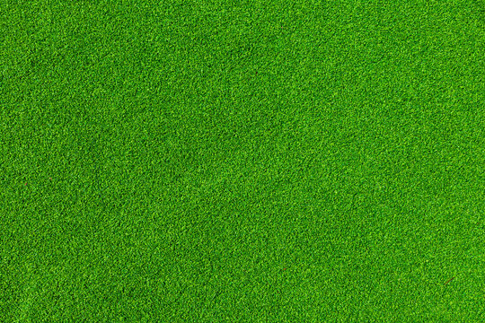 Green grass texture background. Grass garden concept for a football pitch, golf course, soccer, backyard lawn pattern. Indoor and outdoor turf. Lush nature for recreation places. Greenery, fresh land.