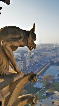 Gargulec, Notre Dame, Paryż, Francja