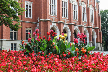 KRAKOW, POLAND - SEPTEMBER 23, 2020: A beautiful flower bed in the old town of Krakow.