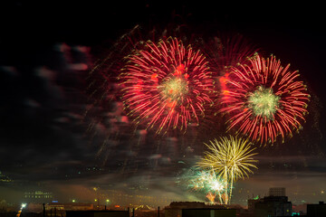 Red fireworks in a shape of daisy flower. Amazing firework explosions in the dark sky over city celebrating holiday. Concept of festive pyrotechnic. Night scene. Long exposure shot.