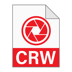 Modern flat design of CRW file icon for web