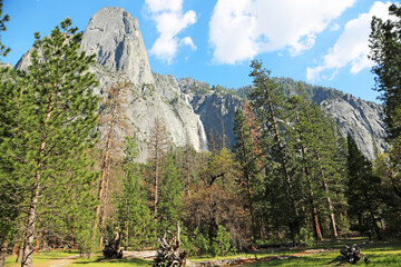 View at Sentinel Fall - Yosemite NP