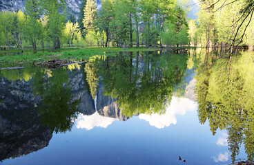 Reflected landscape - Yosemite NP, California