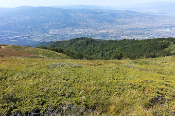 Naklejka premium Summer landscape of Belasitsa Mountain, Bulgaria