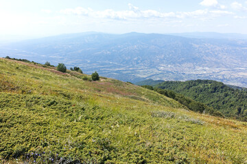 Fototapeta premium Summer landscape of Belasitsa Mountain, Bulgaria